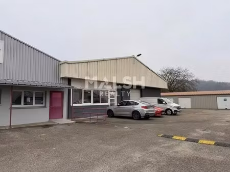 vente local d’activités pont d ain 01160 805m²
