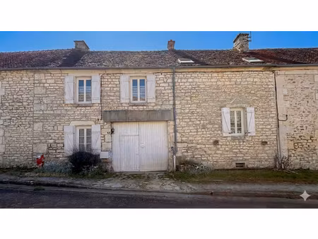 demeure en pierre avec grand terrain - secteur tonnerre / auxerre