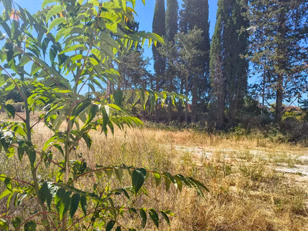 vente terrain à construire 500 m² loriol-du-comtat (84870)