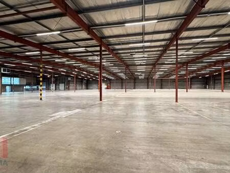bien professionnel à louer à kontich € 22.550 (lp6nc) - panorama b2b antwerpen | zimmo