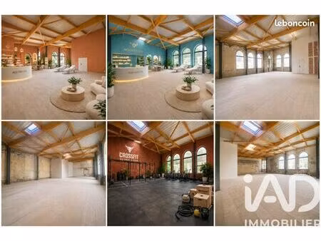 loft 1 pièce 246 m²