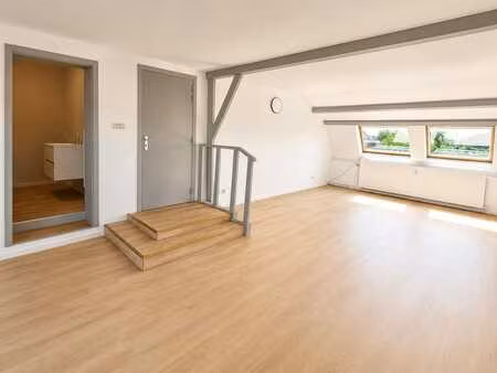 spacieux appartement type loft de 56 m² entièrement rénové !