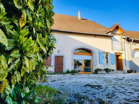 schmitt immobilier