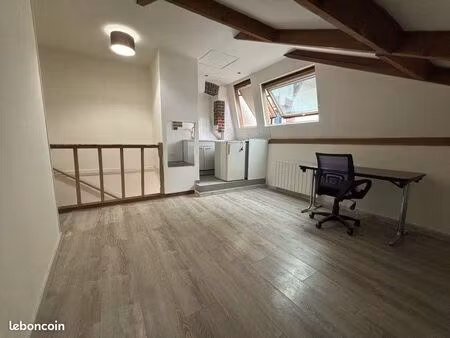 studio 1 pièce 17 m²