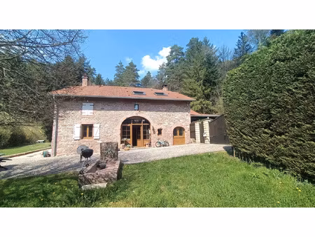 taintrux - ferme de caractère entièrement rénovée 220m2 habi