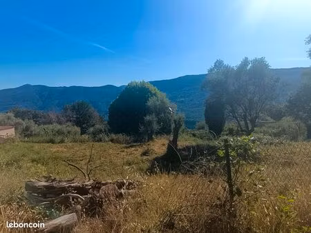 terrain 1300m2