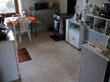 appartement f2 lumineux traversant sans vis à vis avec garage  cave  grenier  terrain priv
