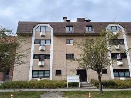 appartement à louer à kruiskenslei 111 boom (rbw19216)