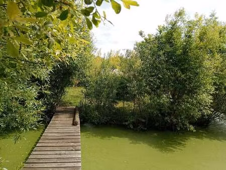 vente longère et corps de ferme à donges (44480) : à vendre / 165m² donges
