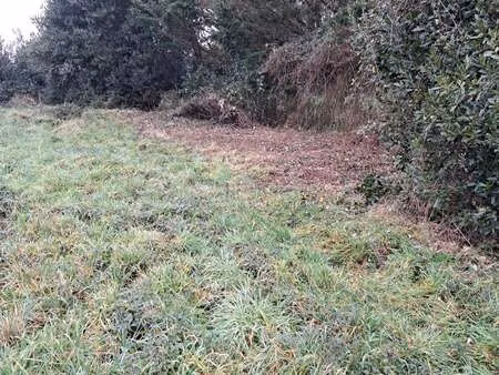 vente terrain à soullans (85300) : à vendre / soullans