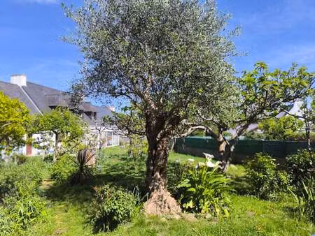 vente maison à concarneau (29900) : à vendre / 100m² concarneau