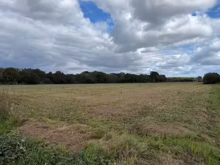 terrain à bâtir