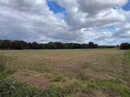 terrain à bâtir