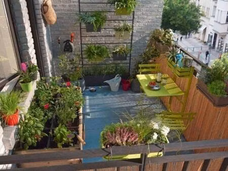 blg immobilier