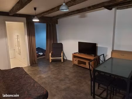 grand studio meublé 30m2