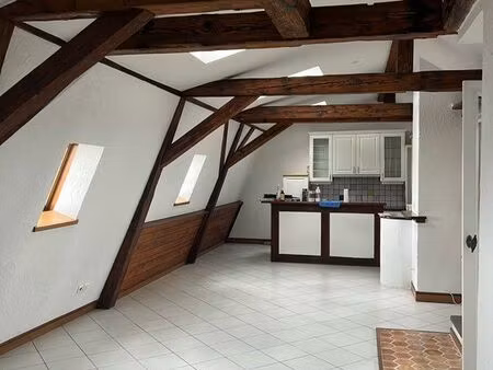 appartement centre historique à mulhouse