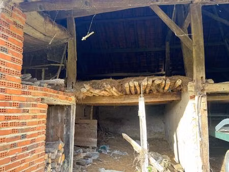 grange sur superbe terrain de plus de 8000 m²