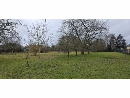 terrain