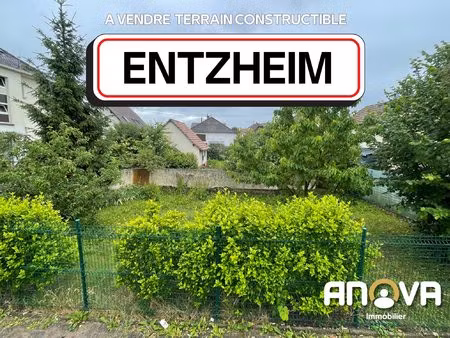 a vendre terrain constructible 5 50 ares entzheim centre