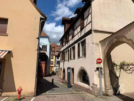 immobilier professionnel à louer obernai
