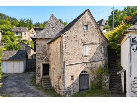 vente maison 5 pièces 150 m² à laval-de-cère (46130)  40 000 €