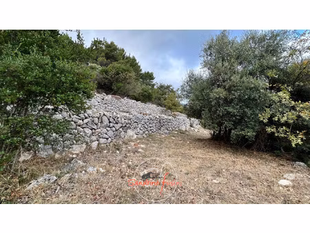 vente terrain 1438 m² carros (06510)