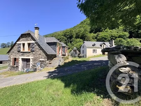 achat maison 15 pièces 414m² estaing 65400