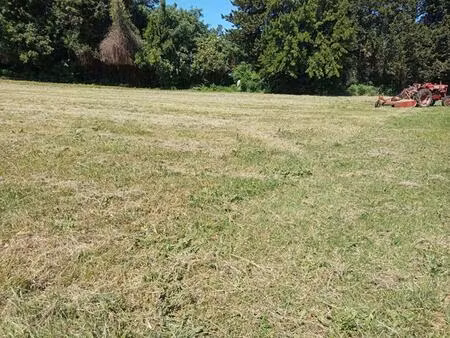 achat terrain 1 834m² donzere 26290