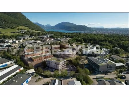 achat local professionnel 6 556m² annecy le vieux 74940