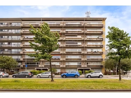 appartement te koop in antwerpen met 3 slaapkamers