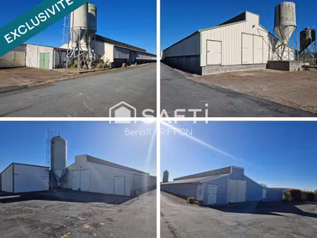 vente commerce 9 pièces 4290 m² boussay (44190)