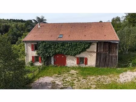 vente maison 3 pièces 90 m² granges-aumontzey (88640)