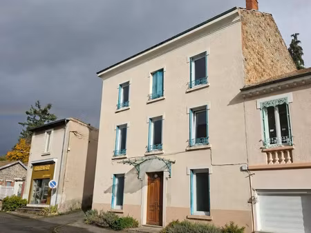 vente maison 9 pièces 221 m² panissières (42360)