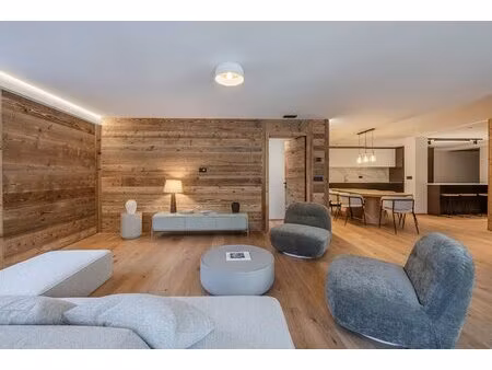 appartement spacieux rénové au cœur de les moussoux