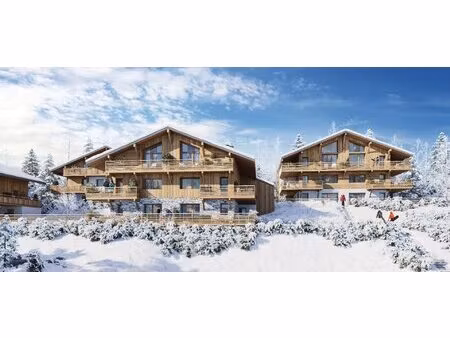 achat : maison (74110)