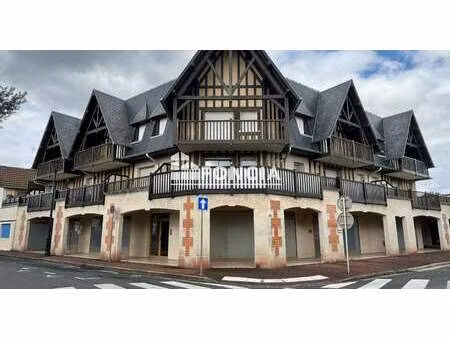 vente appartement 3 pièces à cabourg (14390) : à vendre 3 pièces / 96m² cabourg