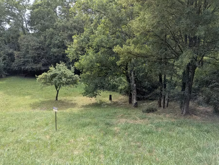 vente terrain  1001.00m²  veuzain