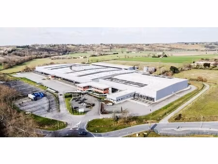 location entrepôt baziege 31450 6331m²