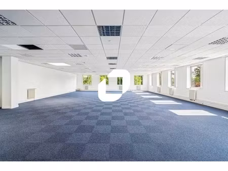 location local d’activités villepinte 93420 550m²
