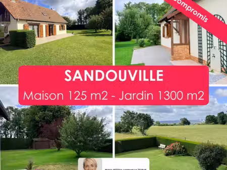 sandouville - maison t5 - plain pied de vie - sous-sol complet - grand jardin -