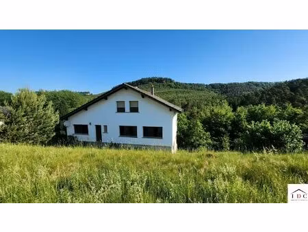 achat maison 4 pièces 117m² sarrebourg 57400