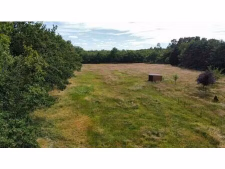 terrain villefranche sur cher 9000 m2