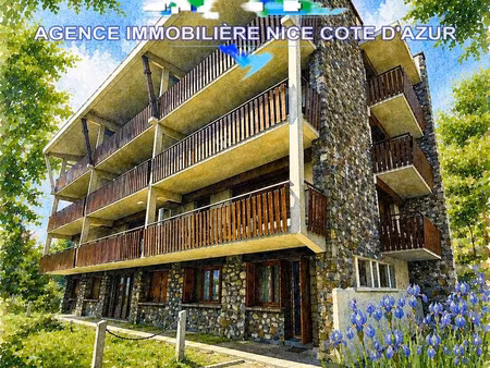 vente appartement 3 pièces 39 m² valdeblore (06420)