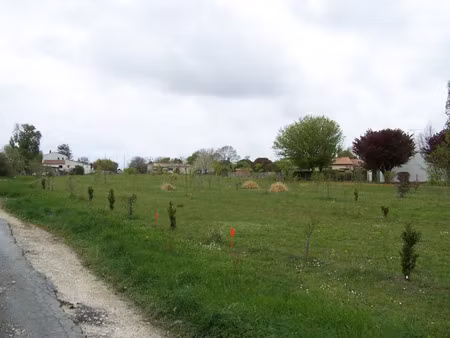 vente terrain 445 m² balanzac (17600)