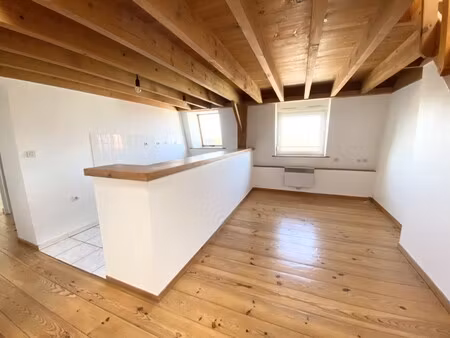 location appartement 2 pièces 45m² annay 62880