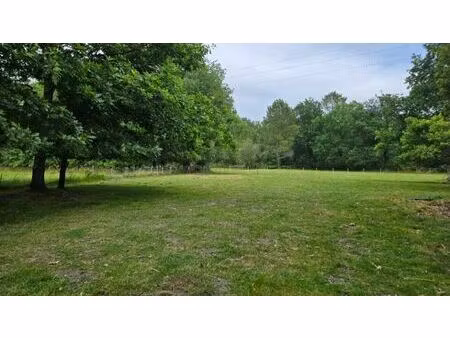 vente terrain 1500 m² saint-savin (33920)