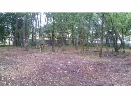 terrain à bâtir à lugos (33830)