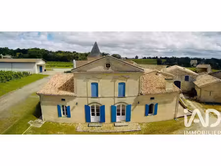 vente château 20 pièces