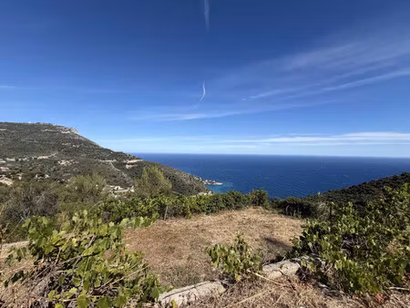 vente terrain
