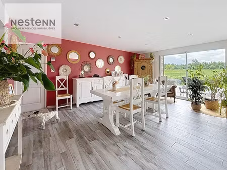 vente maison 6 pièces 185 m² à nielles-lès-calais (62185)  349 500 €